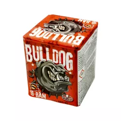 Wyrzutnia BullDog 16 strzałów  20mm