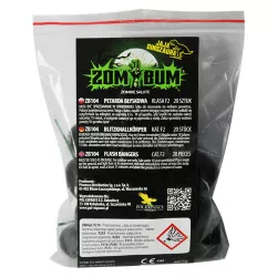 Jaja Dinozaura 20 sztuk