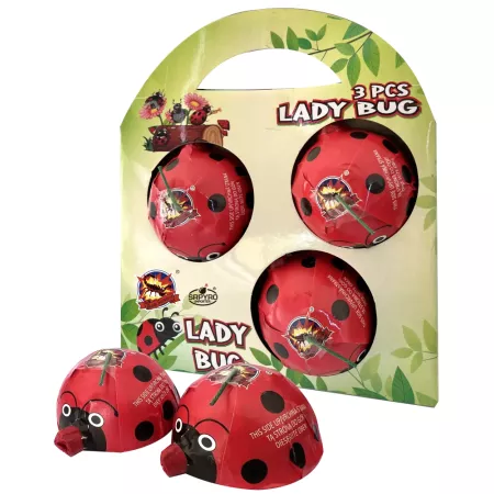 Duża Latająca biedronka 3 sztuki CLE3541